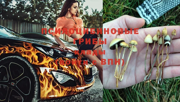 индика Лагань
